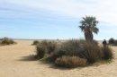 Les Salins de Hyères